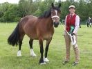 Image 50 in BERGH APTON HORSE SHOW.