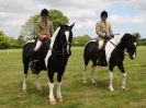 Image 6 in BERGH APTON HORSE SHOW.