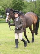 Image 60 in BERGH APTON HORSE SHOW.