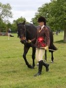 Image 61 in BERGH APTON HORSE SHOW.