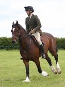 Image 63 in BERGH APTON HORSE SHOW.