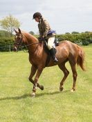 Image 65 in BERGH APTON HORSE SHOW.