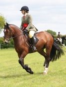 Image 66 in BERGH APTON HORSE SHOW.