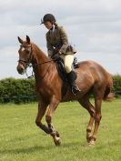 Image 67 in BERGH APTON HORSE SHOW.