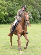 Image 68 in BERGH APTON HORSE SHOW.