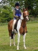 Image 69 in BERGH APTON HORSE SHOW.