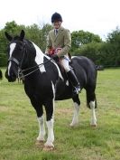 Image 7 in BERGH APTON HORSE SHOW.