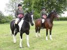 Image 70 in BERGH APTON HORSE SHOW.