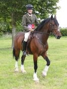 Image 71 in BERGH APTON HORSE SHOW.