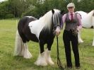 Image 72 in BERGH APTON HORSE SHOW.