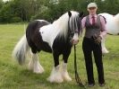 Image 73 in BERGH APTON HORSE SHOW.