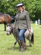 Image 76 in BERGH APTON HORSE SHOW.