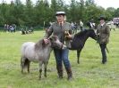 Image 77 in BERGH APTON HORSE SHOW.