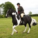 Image 8 in BERGH APTON HORSE SHOW.