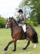 Image 80 in BERGH APTON HORSE SHOW.