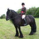 Image 81 in BERGH APTON HORSE SHOW.