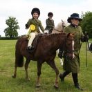 Image 82 in BERGH APTON HORSE SHOW.