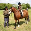 Image 83 in BERGH APTON HORSE SHOW.