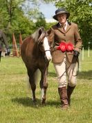 Image 84 in BERGH APTON HORSE SHOW.