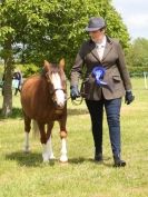 Image 85 in BERGH APTON HORSE SHOW.