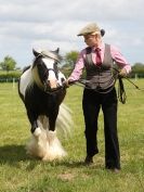 Image 86 in BERGH APTON HORSE SHOW.