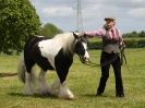 Image 87 in BERGH APTON HORSE SHOW.