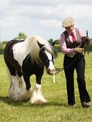 Image 88 in BERGH APTON HORSE SHOW.