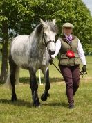 Image 89 in BERGH APTON HORSE SHOW.