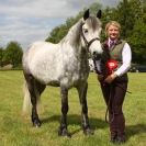 Image 9 in BERGH APTON HORSE SHOW.