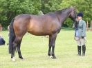 Image 92 in BERGH APTON HORSE SHOW.