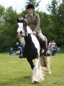 Image 94 in BERGH APTON HORSE SHOW.