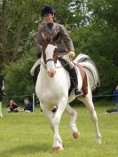 Image 96 in BERGH APTON HORSE SHOW.