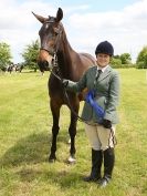 Image 97 in BERGH APTON HORSE SHOW.