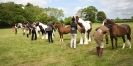 Image 98 in BERGH APTON HORSE SHOW.