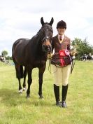 Image 99 in BERGH APTON HORSE SHOW.