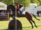 Image 108 in SAM LEASE ARENA EVENTING. HOUGHTON INTERNATIONAL 2015 DAY 1. ( ALL COMPETITORS FEATURE)