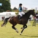 Image 124 in SAM LEASE ARENA EVENTING. HOUGHTON INTERNATIONAL 2015 DAY 1. ( ALL COMPETITORS FEATURE)
