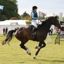 Image 124 in SAM LEASE ARENA EVENTING. HOUGHTON INTERNATIONAL 2015  DAY 1. ( ALL COMPETITORS FEATURE)