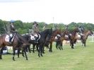 Image 1 in BURGHLEY YOUNG EVENT HORSE 4 YO AT HOUGHTON INTERNATIONAL  2015