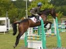 Image 11 in BURGHLEY YOUNG EVENT HORSE 4 YO AT HOUGHTON INTERNATIONAL  2015