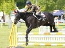 Image 13 in BURGHLEY YOUNG EVENT HORSE 4 YO AT HOUGHTON INTERNATIONAL  2015