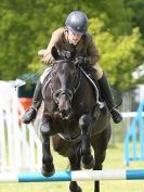 Image 14 in BURGHLEY YOUNG EVENT HORSE 4 YO AT HOUGHTON INTERNATIONAL  2015
