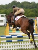 Image 15 in BURGHLEY YOUNG EVENT HORSE 4 YO AT HOUGHTON INTERNATIONAL  2015