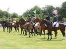 Image 2 in BURGHLEY YOUNG EVENT HORSE 4 YO AT HOUGHTON INTERNATIONAL  2015