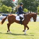 Image 20 in BURGHLEY YOUNG EVENT HORSE 4 YO AT HOUGHTON INTERNATIONAL  2015