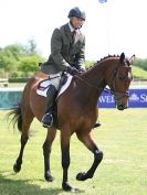 Image 21 in BURGHLEY YOUNG EVENT HORSE 4 YO AT HOUGHTON INTERNATIONAL  2015