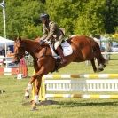 Image 3 in BURGHLEY YOUNG EVENT HORSE 4 YO AT HOUGHTON INTERNATIONAL  2015
