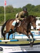 Image 5 in BURGHLEY YOUNG EVENT HORSE 4 YO AT HOUGHTON INTERNATIONAL  2015