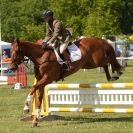 Image 6 in BURGHLEY YOUNG EVENT HORSE 4 YO AT HOUGHTON INTERNATIONAL  2015