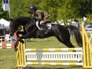 Image 7 in BURGHLEY YOUNG EVENT HORSE 4 YO AT HOUGHTON INTERNATIONAL  2015